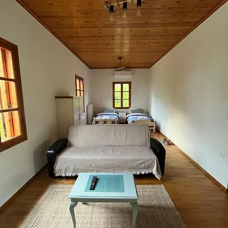 Dom wakacyjny Lemon Tree House