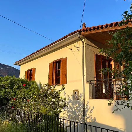 Lemon Tree House