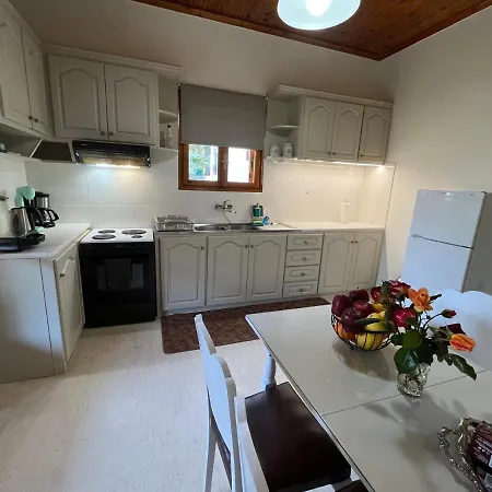 Lemon Tree House