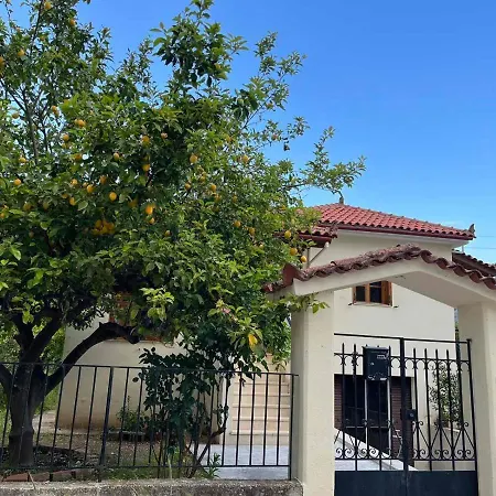 Lemon Tree House Semesterbostad